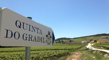 Quinta do Gradil