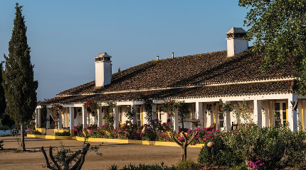 Herdade do Sobroso Wine & Country House
