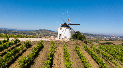 Quinta da Folgorosa