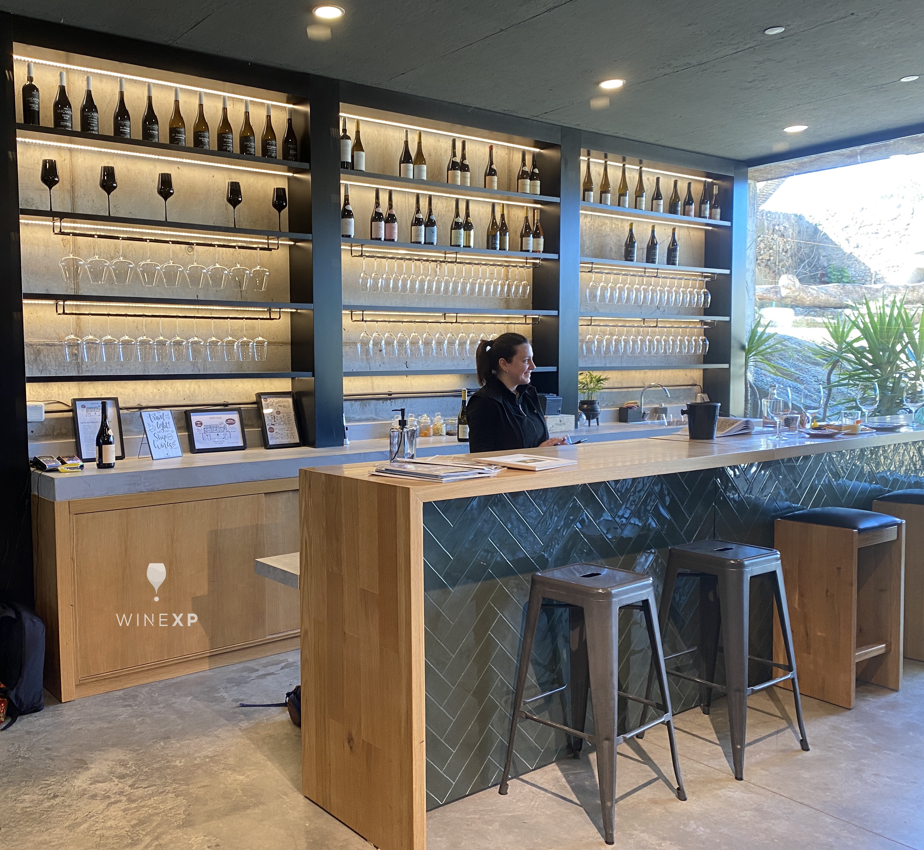 Visit and Big Picture Wine Tasting