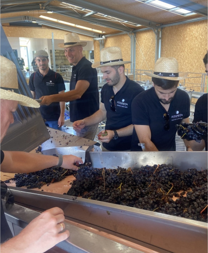 Family friendly harvest days at FitaPreta