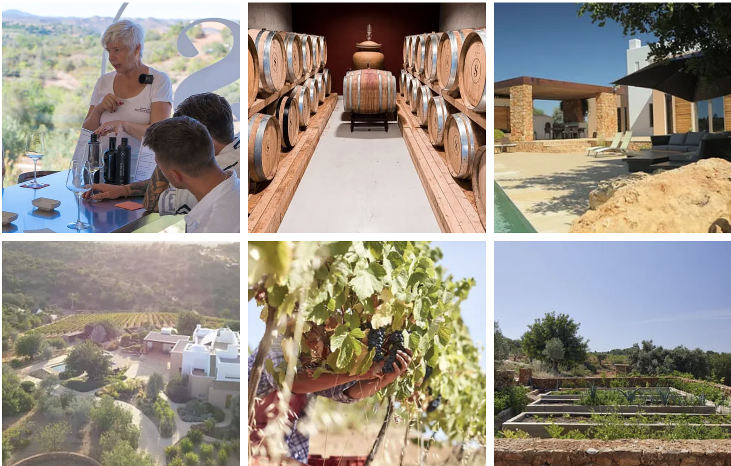 Quinta dos Sentidos