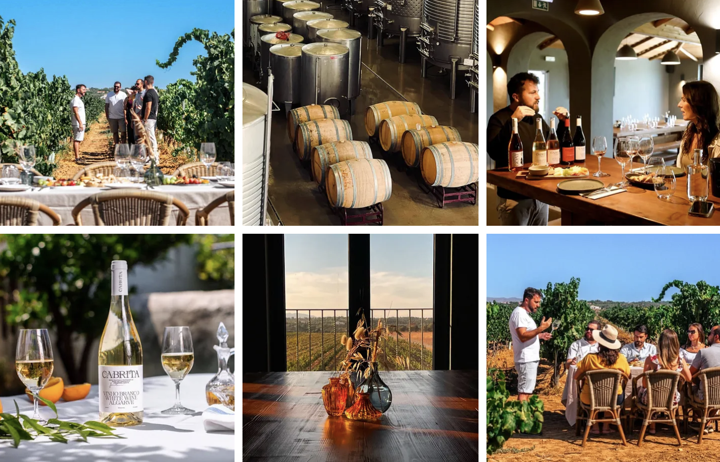 Cabrita Wines