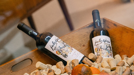 Winery tour & tasting of 5 premium wines