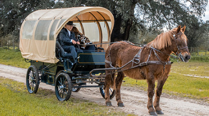 The Estate visit, carriage ride & wine tasting