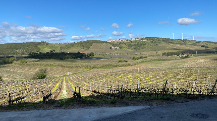 Almiara Standard visita e prova de 4 vinhos