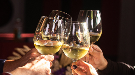 Wine workshop incl. lunch & Wine Tasting 