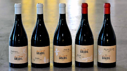 Visita à adega & prova de 5 vinhos Premium 