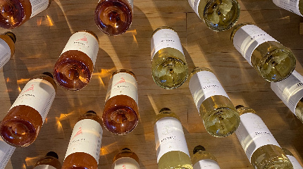 Winery visit and Selection wine tasting 