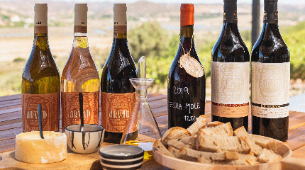The Exchange Tasting 