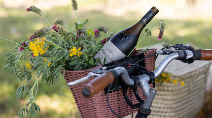 Prova de Vinhos Prestige de 3 regiões-sugestão do enólogo