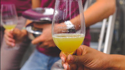 Winemaker for a day with tasting of 6 wines