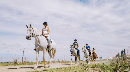 Horse Ride Workshop 
