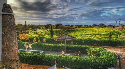 Visit & premium red wine tasting