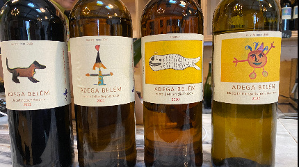 5 Wine Tasting & nibbles