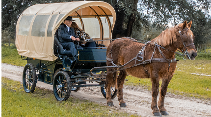 The Estate visit, carriage ride & wine tasting for Groups