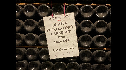 Visita Guiada e Prova de 4 Vinhos com História