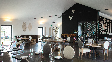 Vinhos à Mesa