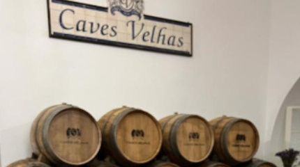 Winery Tour & Classic wine tasting