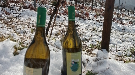 Tour & wine tasting of 3 Feel & Soul 