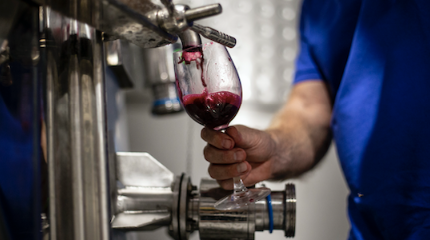 Visita e prova de vinhos Premium e Reserva