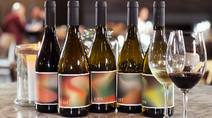 Winemaker for a Day 
