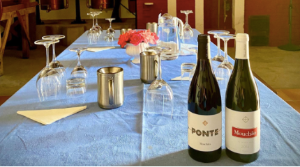 Visita à vinha e adega com gastronomia local