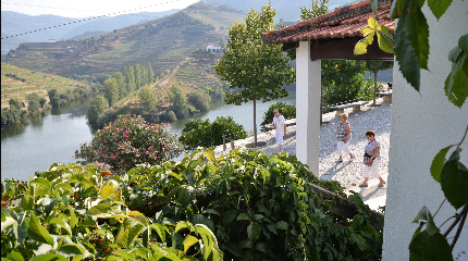Visit and Douro DOC Wine or Port Tasting  