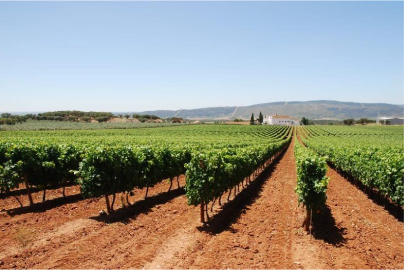 Alentejo